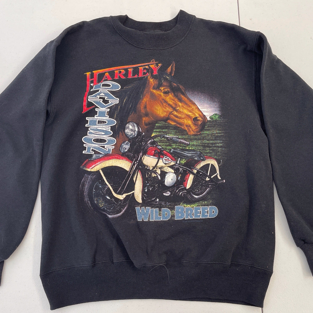 Vintage Black Harley Davidson Sweatshirt – Weekends Clothing